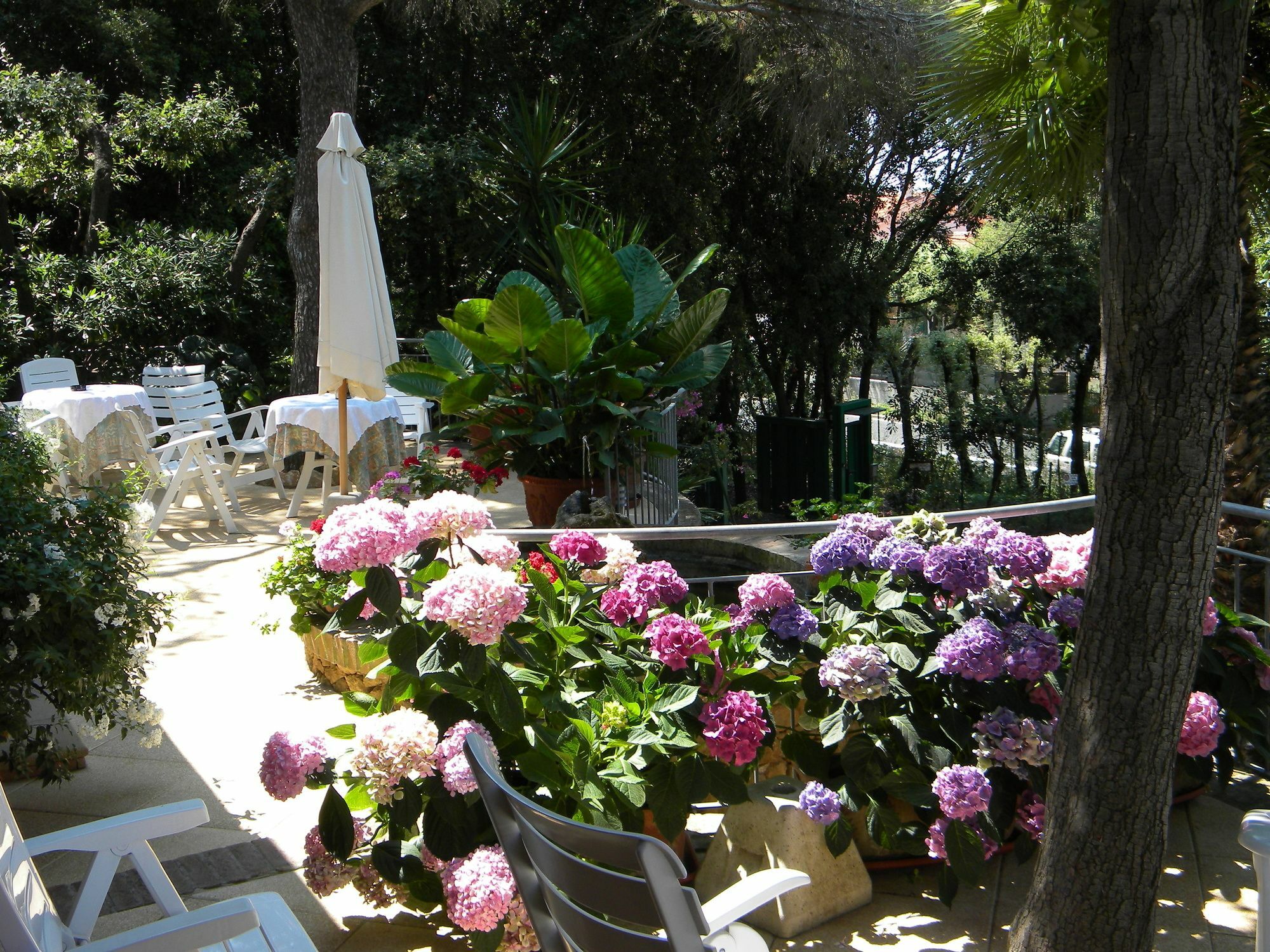 Hotel La Rosa Del Tirreno Livorno Dış mekan fotoğraf
